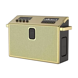 Акустическая Bluetooth система Defunc Mondo BT Speaker Large Brass