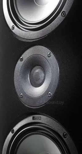 Напольная акустика Canton Ergo 670 Black