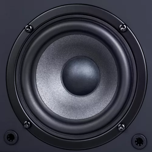Активная полочная акустика Radiotehnika S-10NA Black Ash