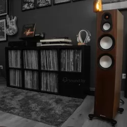 Напольная акустика Monitor Audio Silver 300 (7G) Natural Walnut