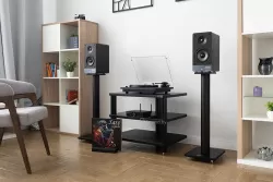 Полочная акустика Radiotehnika S-20N Black Ash