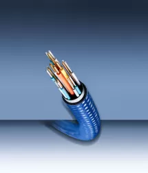 Цифровой I²S кабель Denafrips Single Crystal Silver Cable