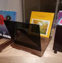 Стойка под виниловые пластинки VOXmodule VINYL STAND 07 (Walnut)