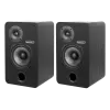 Полочная акустика Radiotehnika Sigma 1.01