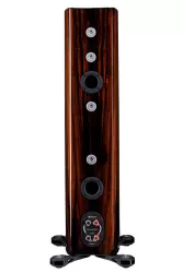 Напольная акустика Monitor Audio Platinum 200 (3G) Piano Black