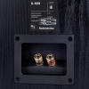 Полочная акустика Radiotehnika S-10N Black Ash
