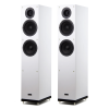 Напольная акустика Radiotehnika Gamma 3.02 White Ash