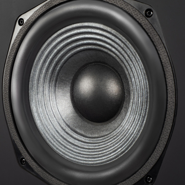 Полочная акустика Radiotehnika Sigma 1.01