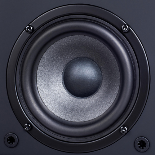 Активная полочная акустика Radiotehnika S-10NA Black Ash