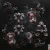 Björk – Fossora (2LP) Björk – Fossora (2LP)