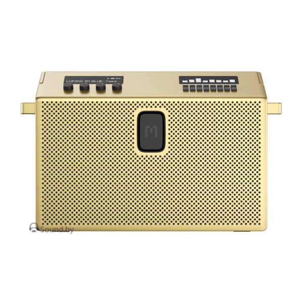 Акустическая Bluetooth система Defunc Mondo BT Speaker Large