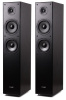 Напольная акустика Radiotehnika Alfa 1.02 Black Ash