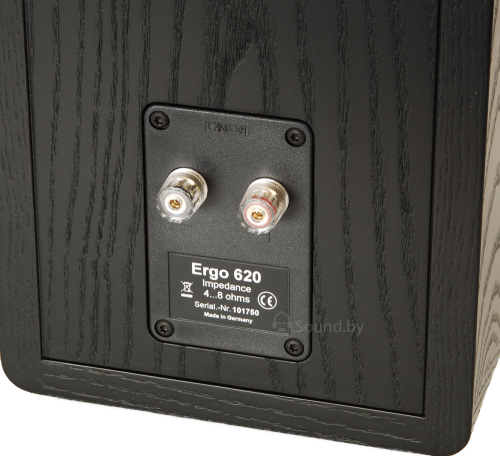 Полочная акустика Canton Ergo 620
