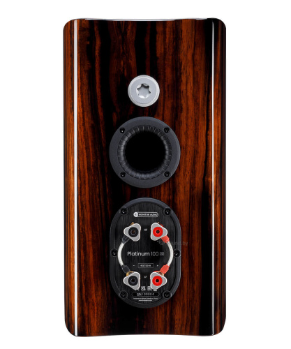 Полочная акустика Monitor Audio Platinum 100 (3G)