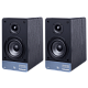 Полочная акустика Radiotehnika S-10N Black Ash Полочная акустика Radiotehnika S-10N Black Ash