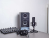 Студийный монитор Radiotehnika S-20M Black Ash