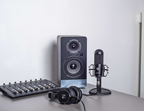 Студийный монитор Radiotehnika S-20M Black Ash