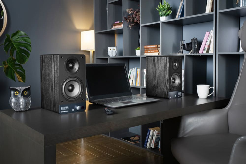 Полочная акустика Radiotehnika S-20NA Black