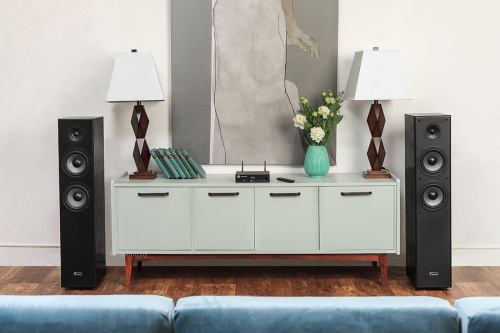 Стереоусилитель Radiotehnika RTM01