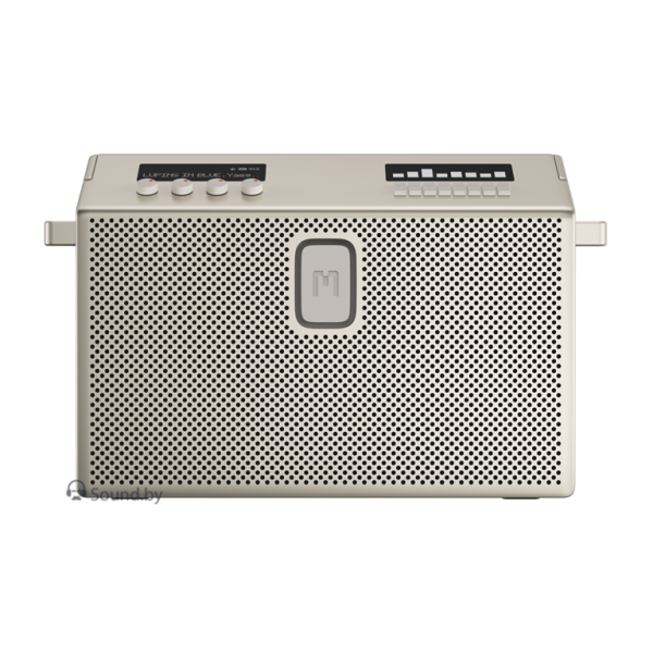 Акустическая Bluetooth система Defunc Mondo BT Speaker Large