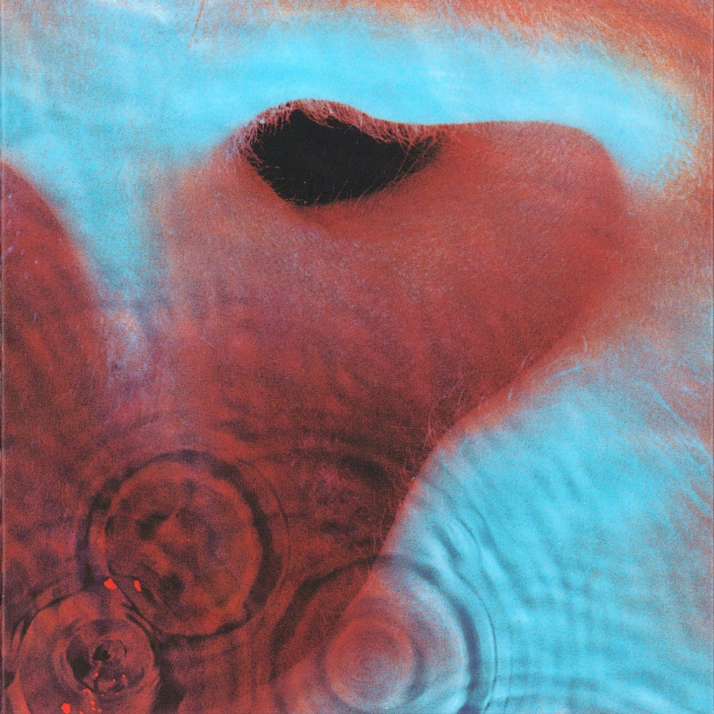 Pink Floyd – Meddle [LP]