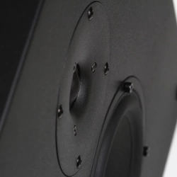 Настенная акустика Radiotehnika Vita 2.02 Black Ash