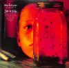 Alice In Chains – Jar Of Flies [LP]
